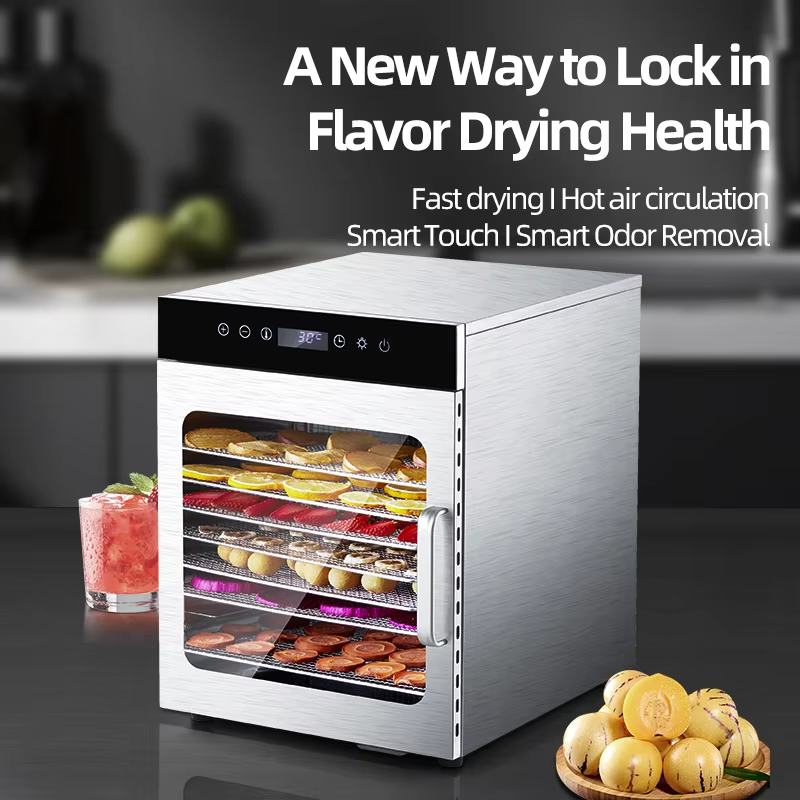 Stainless steel 10-tray fruit dryer with front window, top controls, and side handle