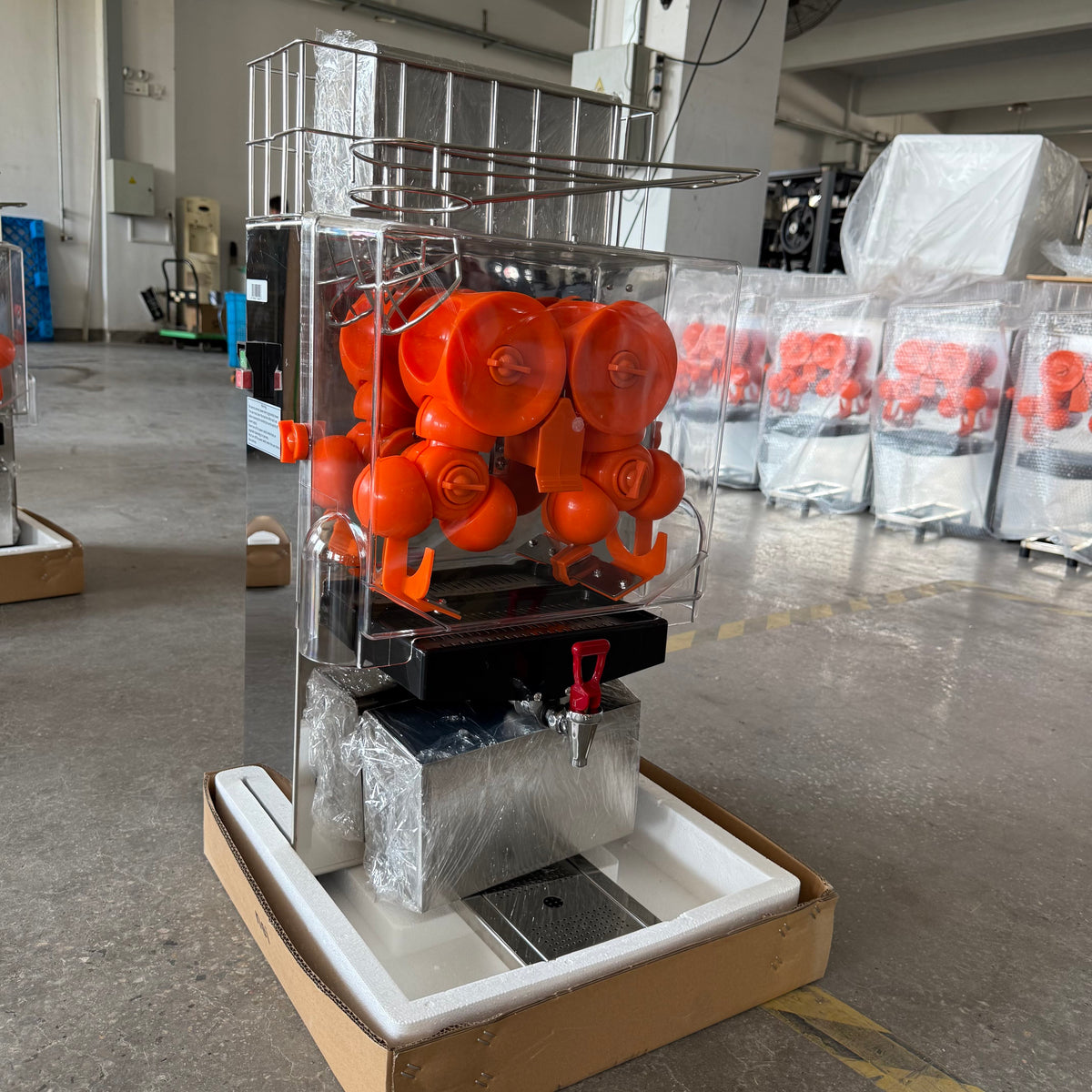 Automatic orange juicer machine with stainless frame and orange rollers in clear guard